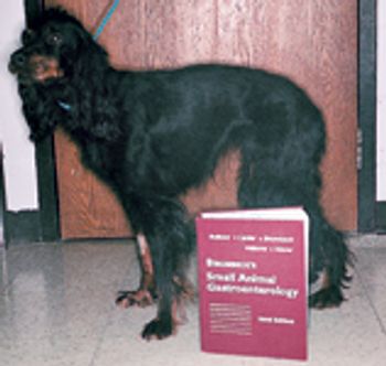 Fig1ChallengeVM604-651696-1384337254019.jpg
