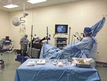 veterinary_Kane_Cornell_IMG_1637_460px.jpg