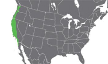 i1-771374-1384163748994.jpg