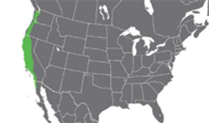 i1-771374-1384163748994.jpg
