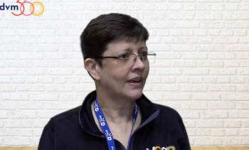 Modalities in Veterinary Rehabilitation