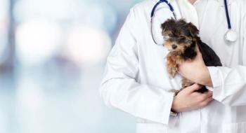 Veterinary innovation