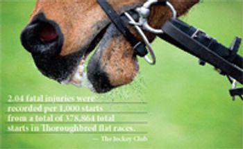 veterinary_horse_mouth_t-676628-1384277287490.jpg