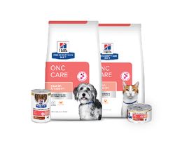 New clinical foods launched to support cats and dogs with cancer