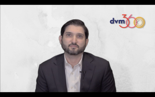 What to look for in ear disease treatment