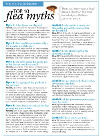veterinary_fleamyths_200x271-846946-1404209245603.jpg