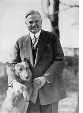 hoover-793689-1384154819365.jpg