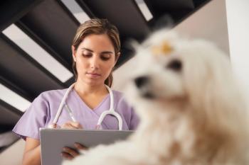 AI in veterinary medicine