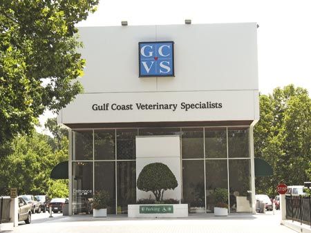 gulf coast emergency vet