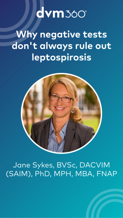 Why negative tests don't always rule out leptospirosis