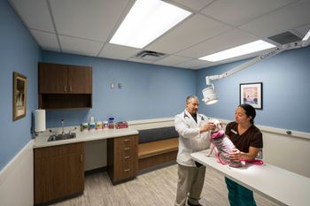22_SouthwestVeterinaryMedicalCenter_Exam1_450.jpg