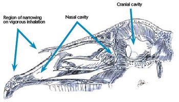 Diagram-807416-1382856601083.jpg