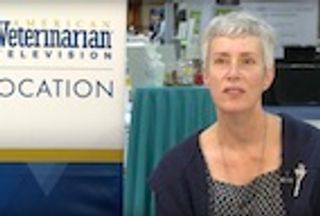 Top Challenge in Dermatology Cases