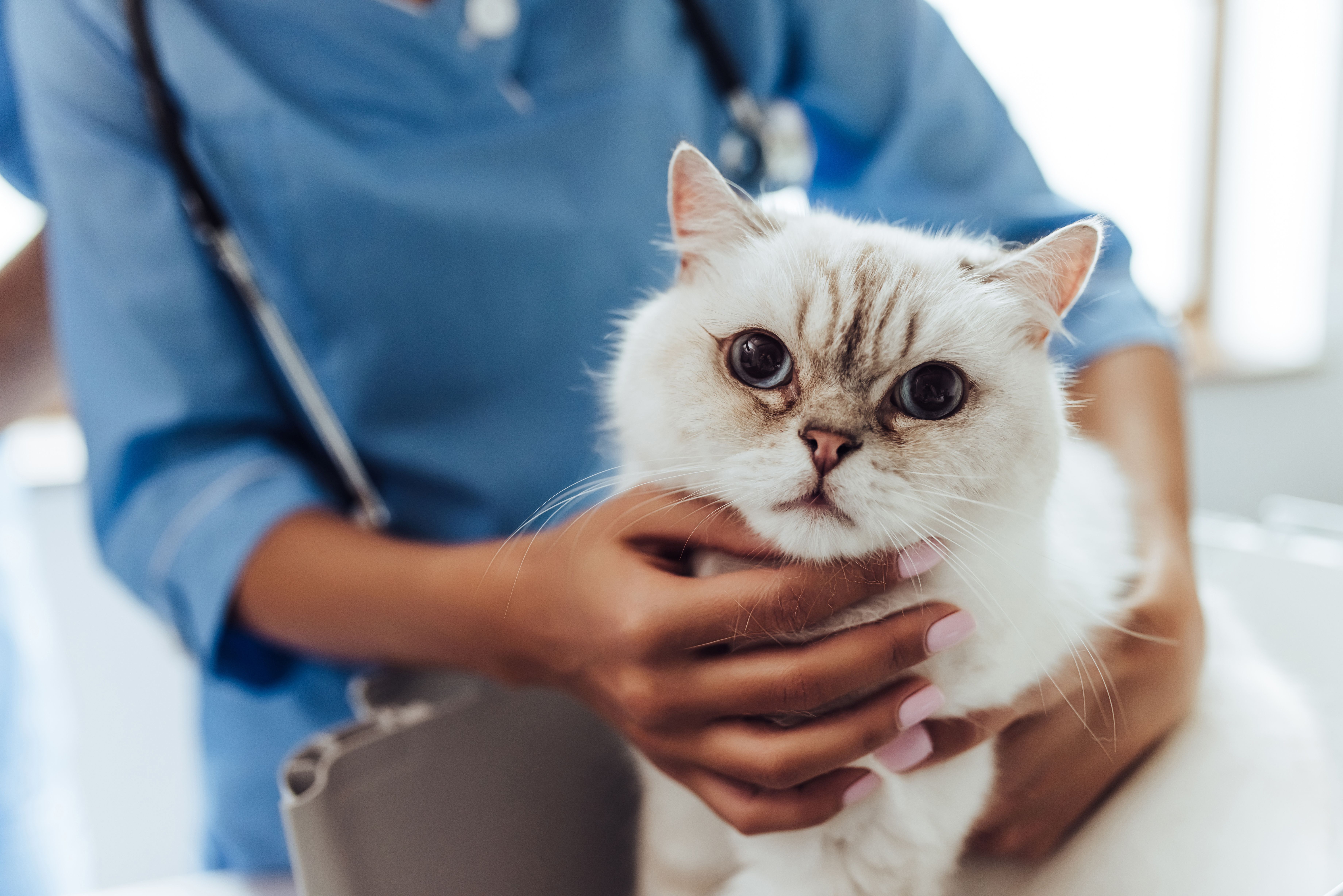 pain-management-careers-101