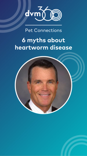 Six myths about heartworm disease
