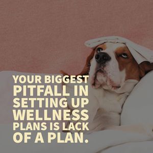 veterinary-wellnessplans-rogerzinn-450.jpg