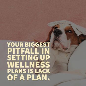veterinary-wellnessplans-rogerzinn-450.jpg