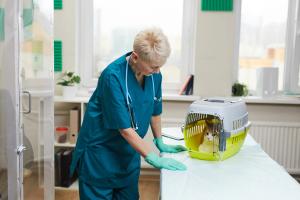 Why team members’ behavior matters