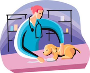 veterinary-Veterinarian-examining-Puppy_220px_109271002_1.jpg
