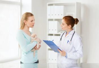 pet owner talking to vet