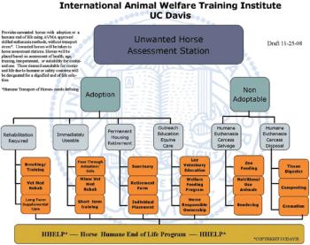 flow-chart-UnWanted-Horse-574368-1384525838180.jpg