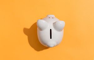 veterinary-piggy-bank_AdobeStock_236792122-450.jpg