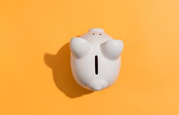 veterinary-piggy-bank_AdobeStock_236792122-450.jpg