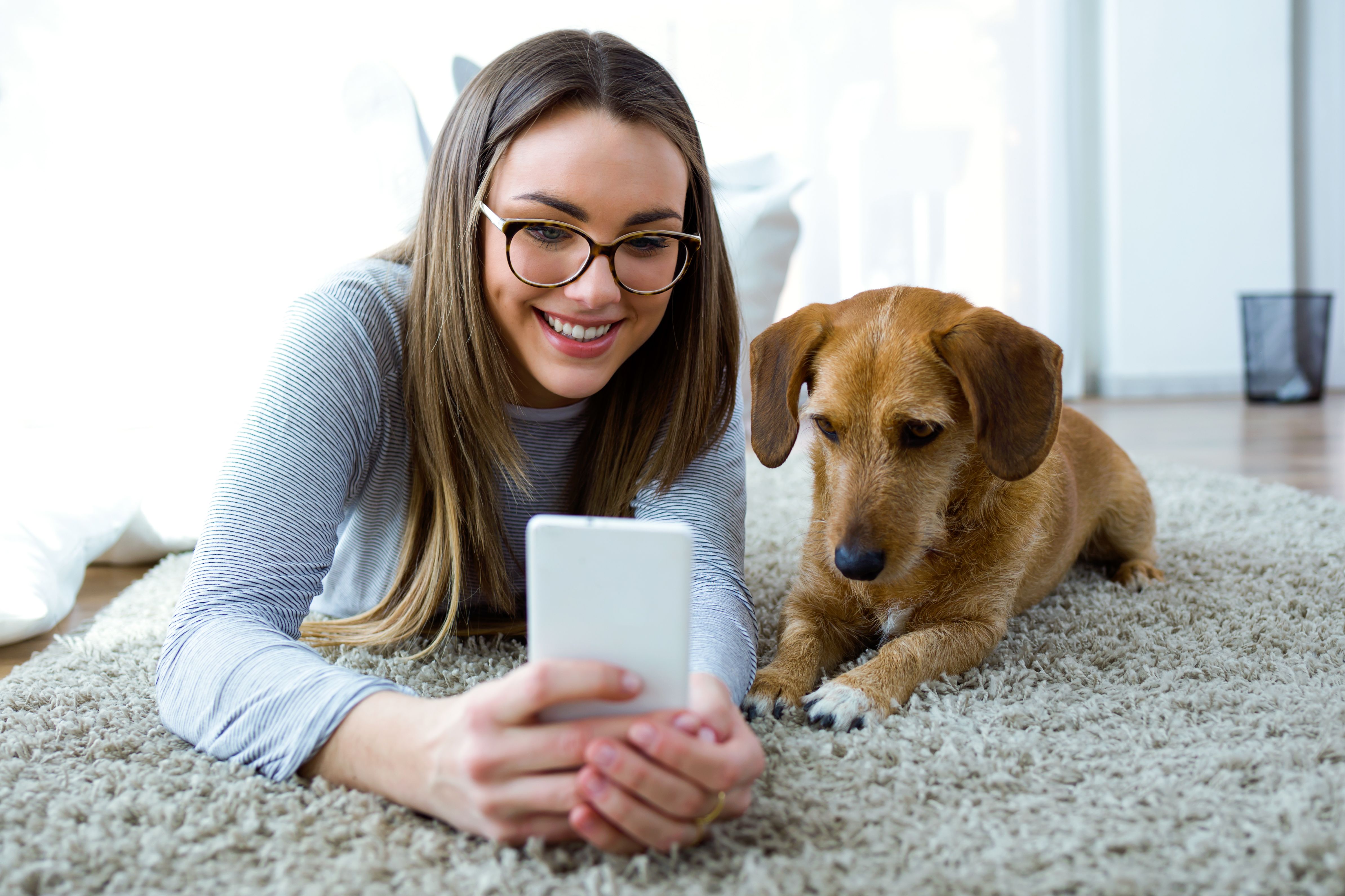 Pet owner. Смартфон doggy. Smartphone on Dog. Приложения для ухода за питомцами. Pet Technologies.