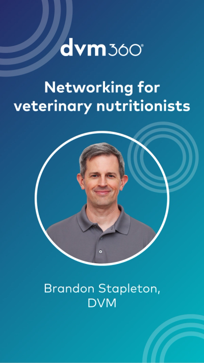 Networking for veterinary nutritionists