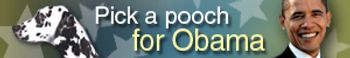 ObamaDog-564222-1384605167231.jpg