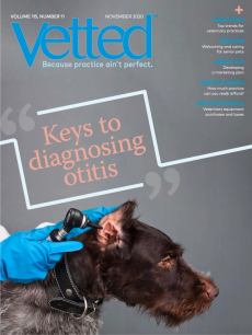 Vetted November 2020