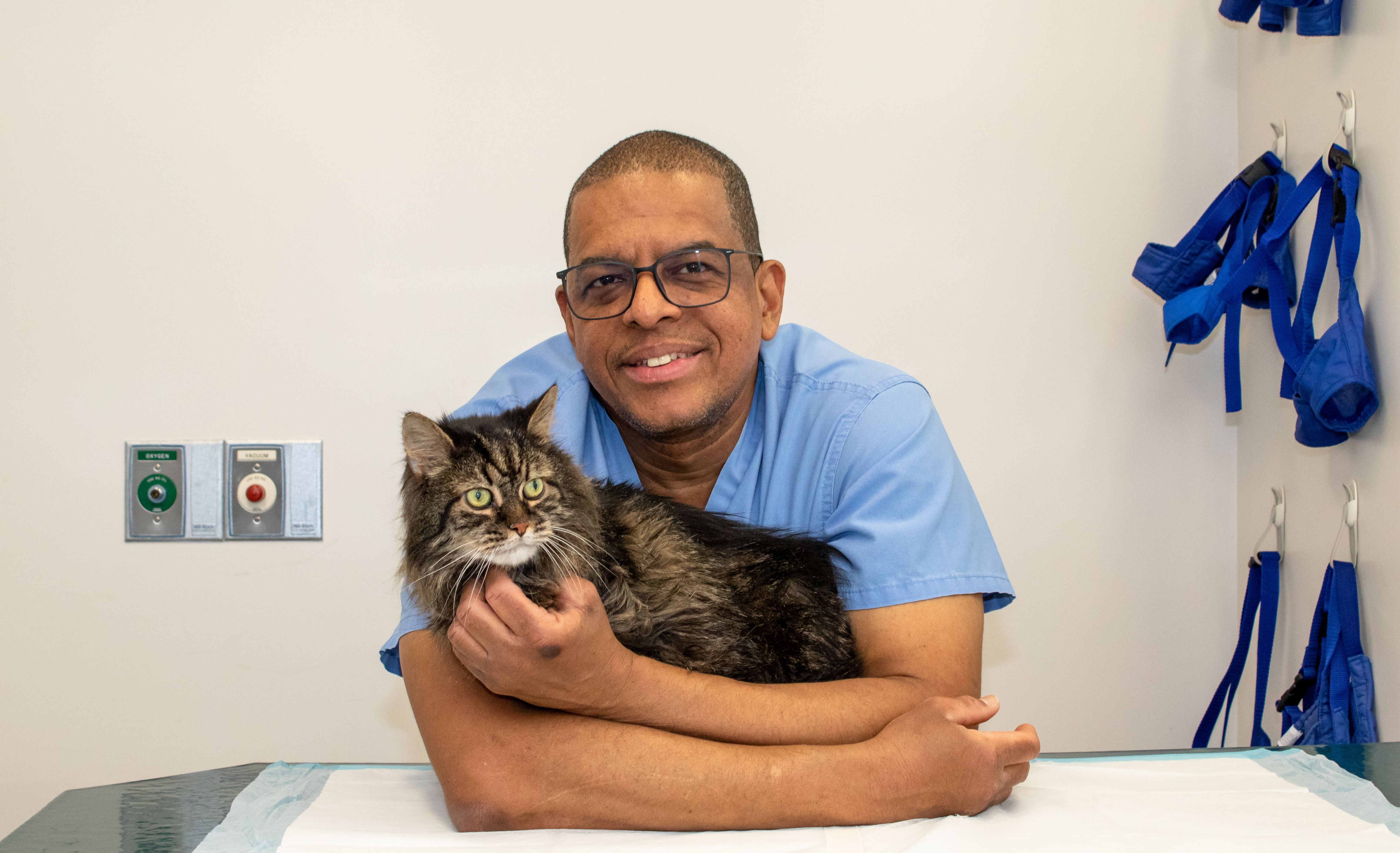 <![CDATA[Rising high in veterinary medicine]]>