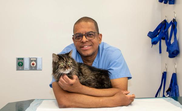 Rising high in veterinary medicine