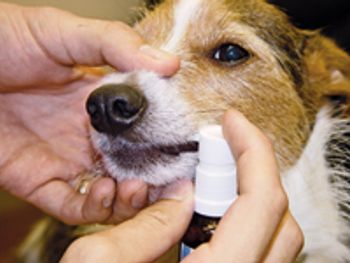 SLIT-Review-Vet-Med-Figure-1-832272-1404216808266.jpg