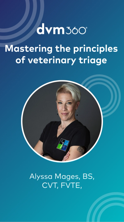 Mastering the principles of veterinary triage