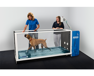 veterinary-hudson-aquatic-systems-Aquapaws-SS.png
