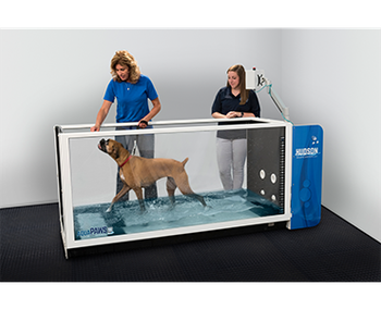 veterinary-hudson-aquatic-systems-Aquapaws-SS.png