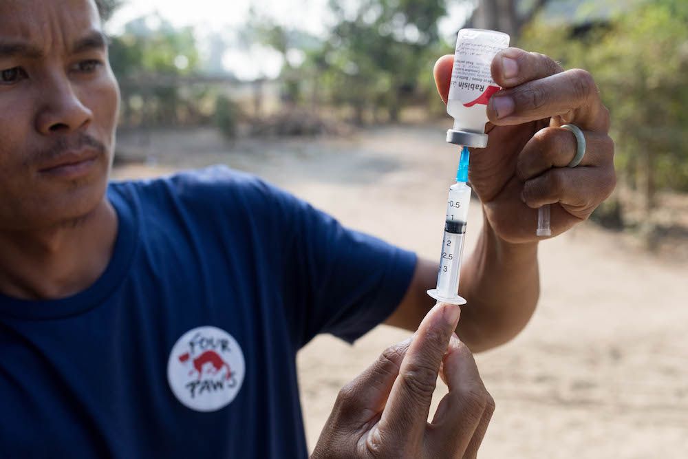 Animal Welfare Group Fights Rabies in Myanmar
