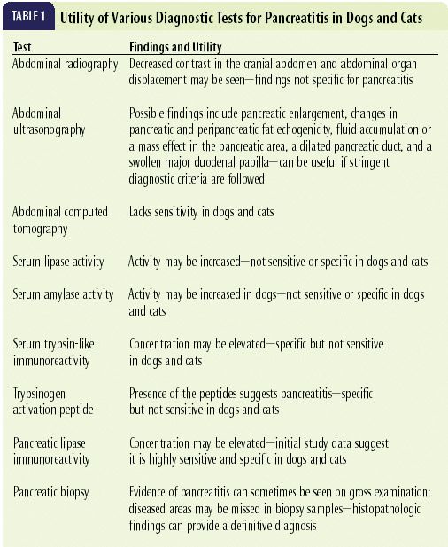 High pancreatic hot sale enzymes in dogs