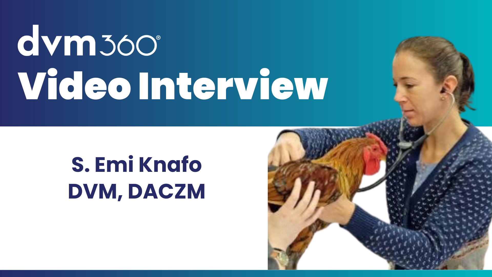 Caring for exotic animals | dvm360