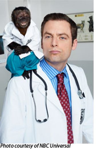 veterinary_monkey1-793405-1404223205771.jpg