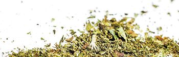 veterinary-few-spots-of-grey-green-dry-cannabis-leaves-cut-crushed-and-prepared-for-use-as-narcotic-substance-marijuana-bud-cannabis-close-up-450px-shutterstock-685689277.jpg