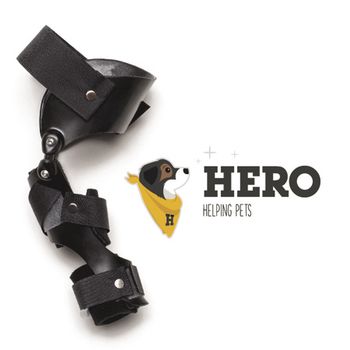 veterinary-hero-brace-450px.jpg