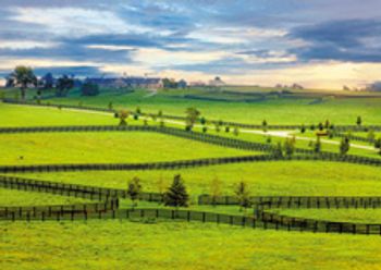 veterinary_field-pasture-scenery_220px_178091584.jpg