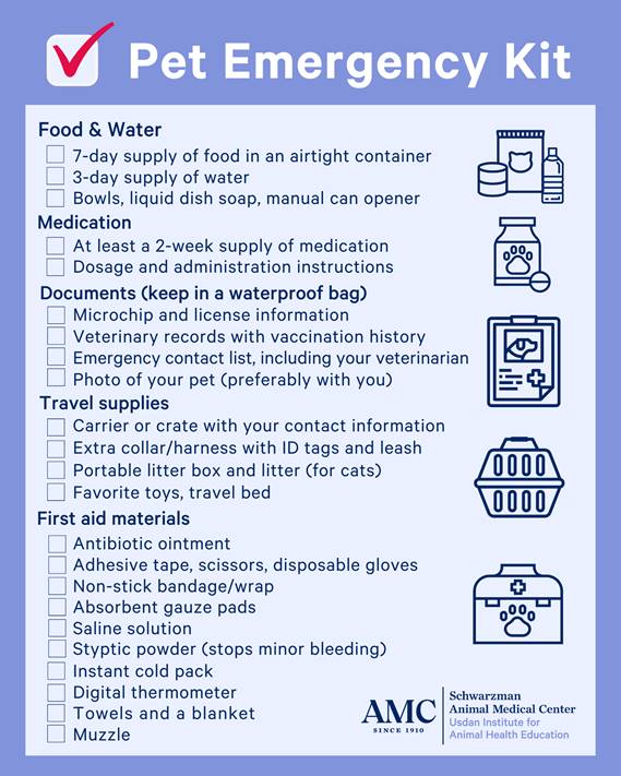 Pet emergency kit