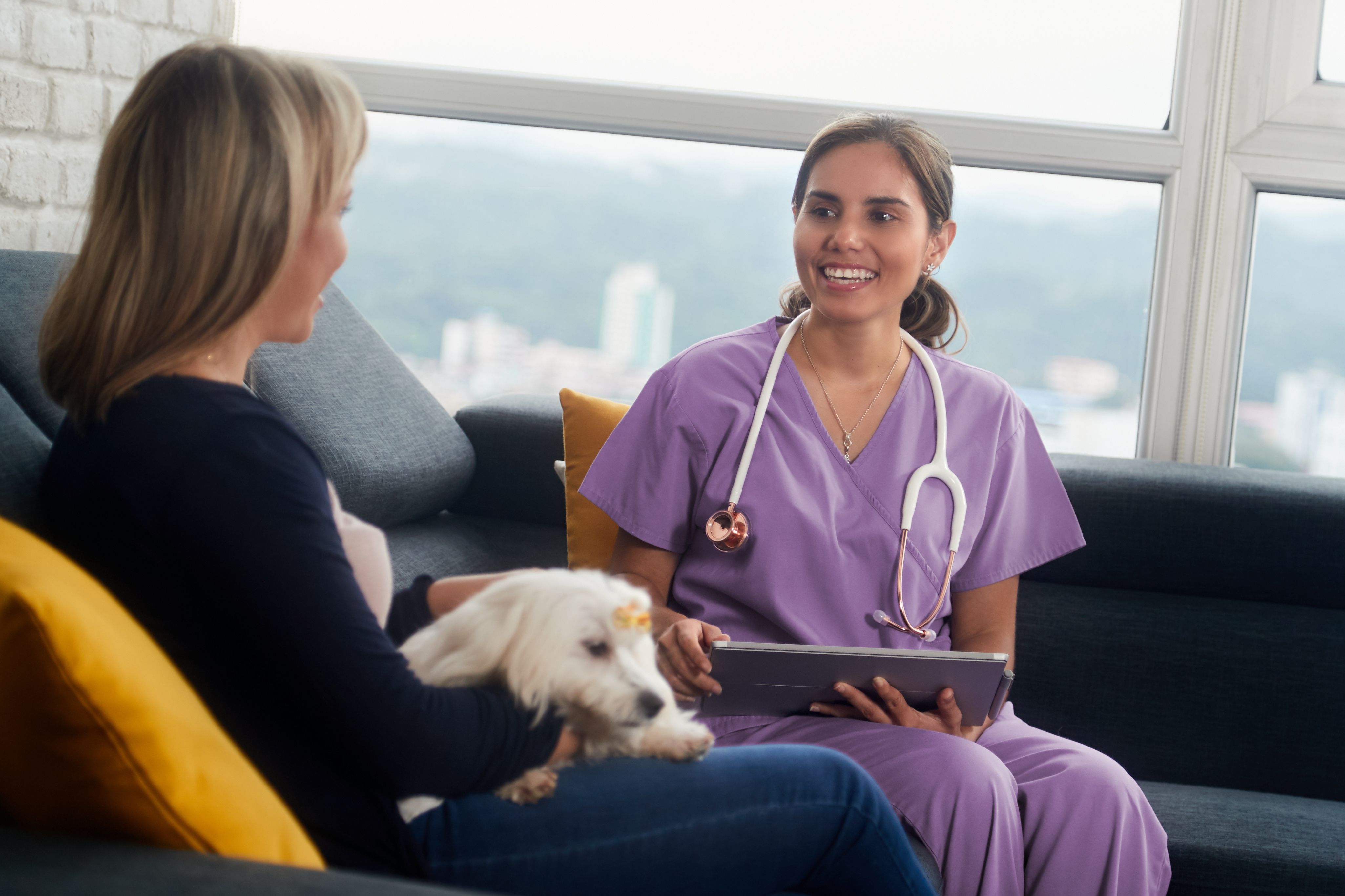 Veterinary Supervisor Veterinary supervision