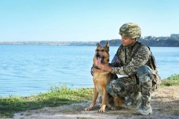 vet with dog