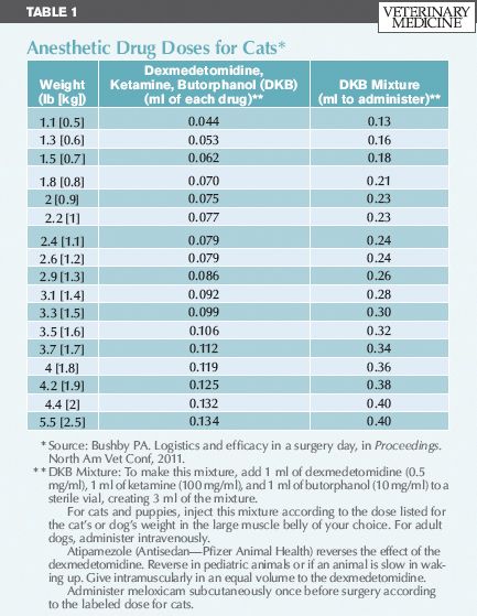 An Overview Of Pediatric Spay And Neuter Benefits And Techniques An Overview Of Pediatric Spay And Neuter Benefits And Techniques