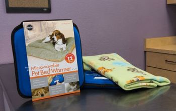 bedwarmers-flash-1.jpg