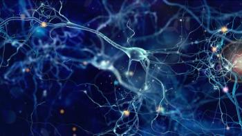 neurons / whitehoune / stock.adobe.com